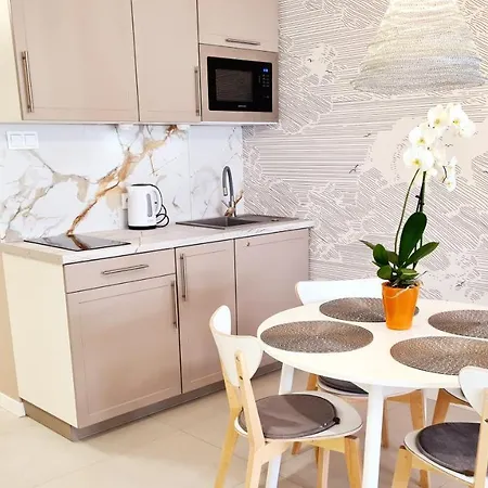 Royal Tulip * コウォブジェク